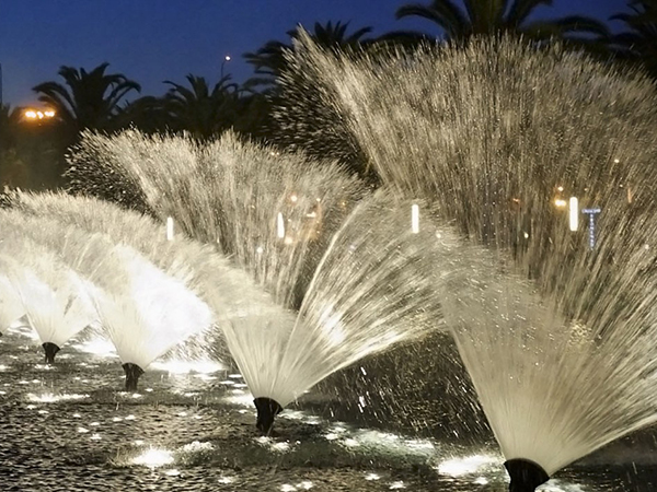 湖北宜昌3D凤尾喷泉