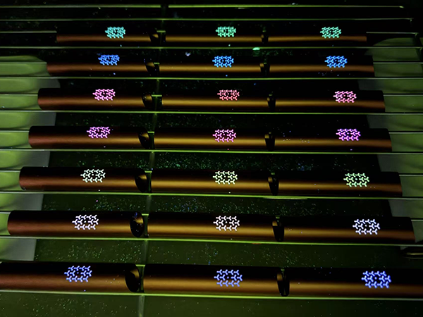 热烈祝贺展腾达食品级包装油墨上市