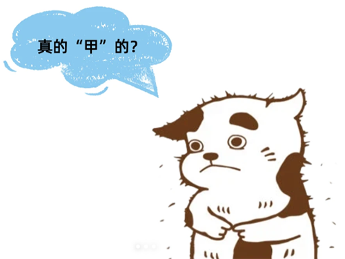 狗狗的中年危机——甲状腺功能减退