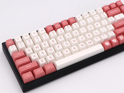 双色键帽供应商