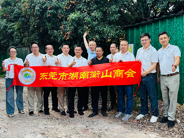 2025.6.11执行会长彭立丰组织大家进行夏日采摘荔枝活动