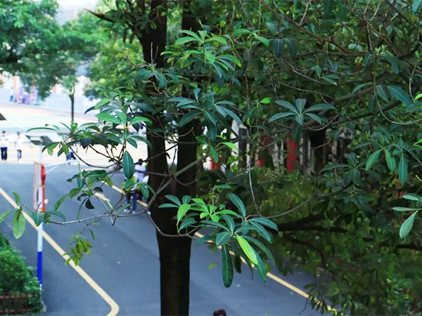 清明放假通知来了！【内附安全秘籍】