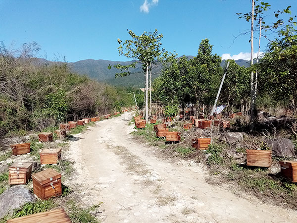 養(yǎng)殖環(huán)境