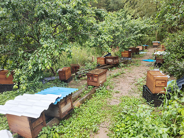 養(yǎng)殖環(huán)境