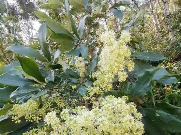 養(yǎng)殖環(huán)境