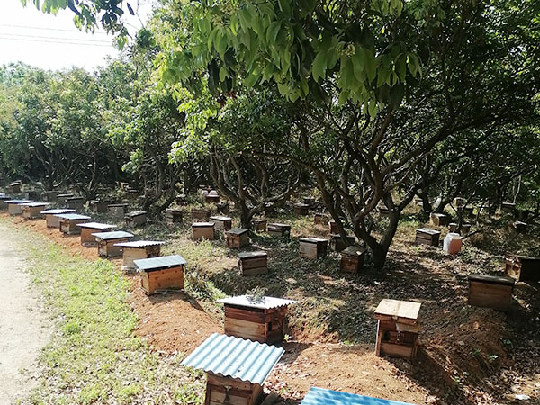 養(yǎng)殖環(huán)境