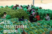 学校/工厂/单位蔬果 提供蔬菜配送 净菜配送服务