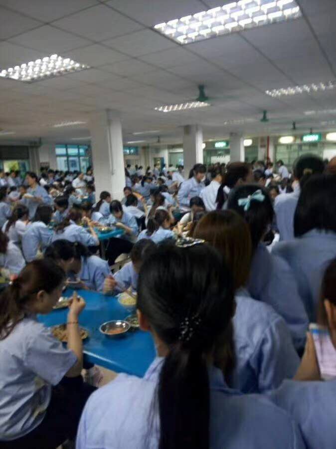 中味膳食服务热线：135-5971-5658，咨询获取报价表