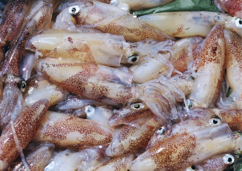 东莞公司食堂冻品海鲜批发