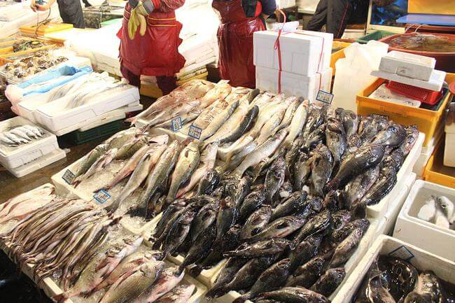 博罗公司食堂食材批发配送