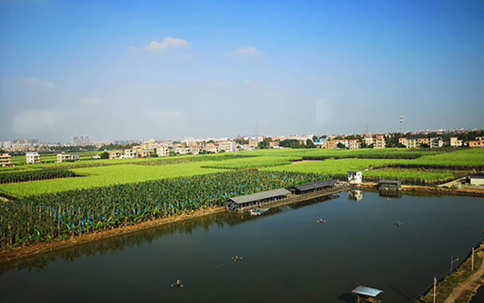 蔬菜配送基地