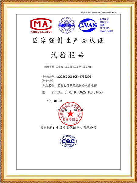 Z(A,B,C,D)-60227 IEC 01(BV) /Z(C,D)-BV
