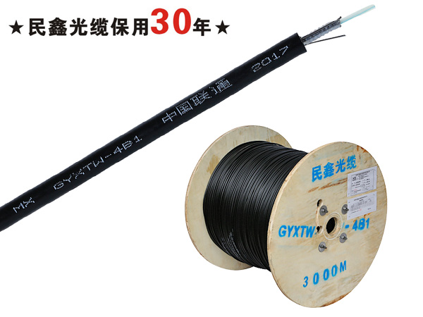 中心束管式4芯单模光缆