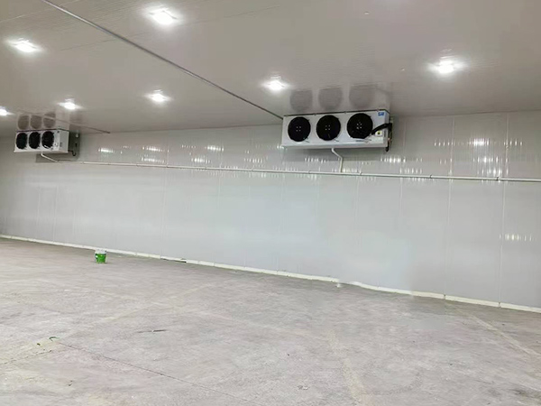 廣州冷庫(kù)制冷工程