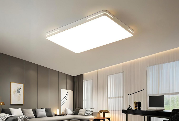 LED & 照明