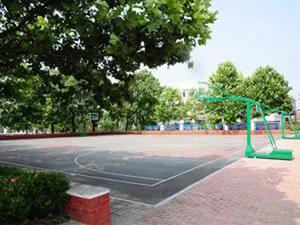 公司环境