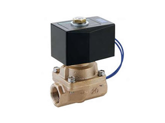 蒸汽用先导突跳式2通电磁阀