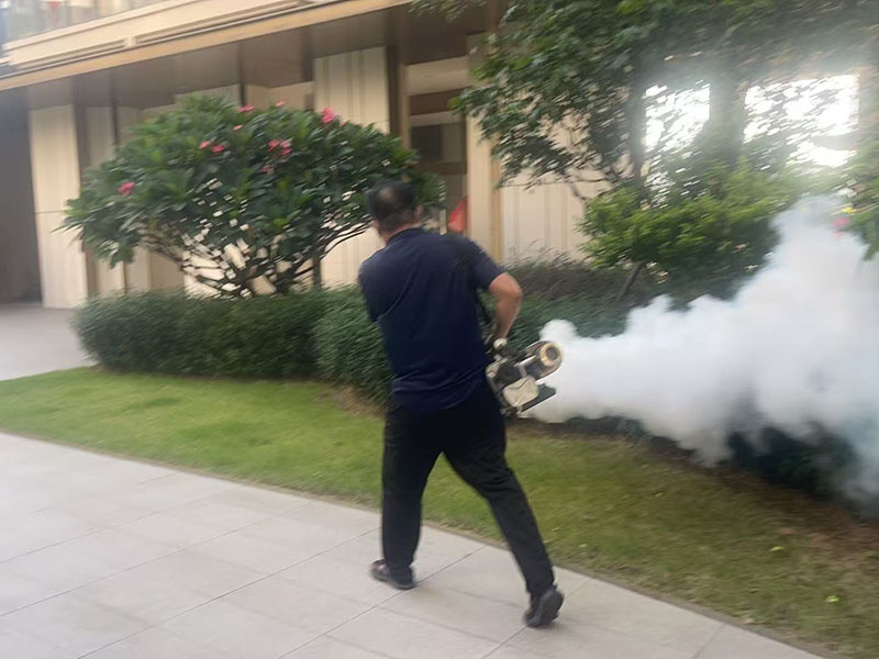 环境消杀服务有哪些核心服务内容？