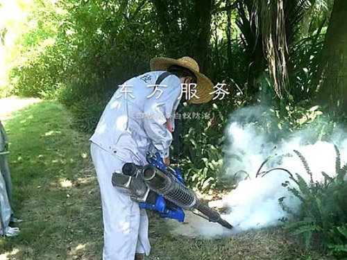 白蚁消杀蜜柚app官方地址