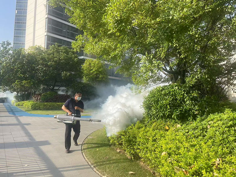 问：关于白蚁消杀服务可以保障多久的效果？