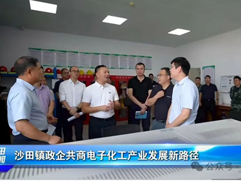 政企携手，共筑发展新路径