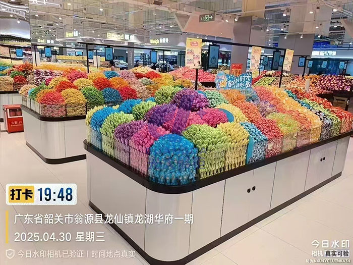木柜包杨