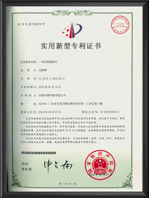 一种功效散热片