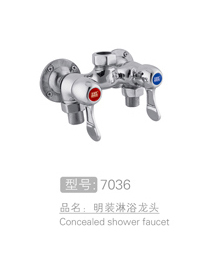 丽朗明装淋浴龙头 #7036