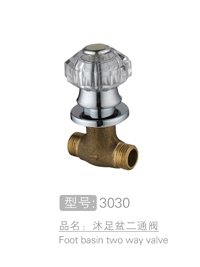 丽朗沐足盆二通阀 #3030