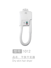 轻巧型干肤干发器 #1012