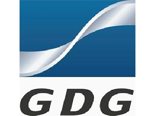 广州发展新能源股份有限公司