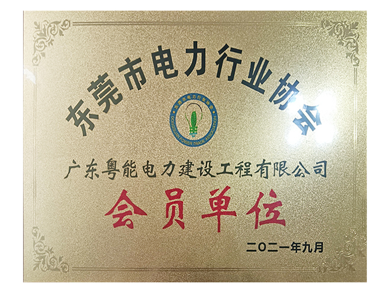 会员单位荣誉证书