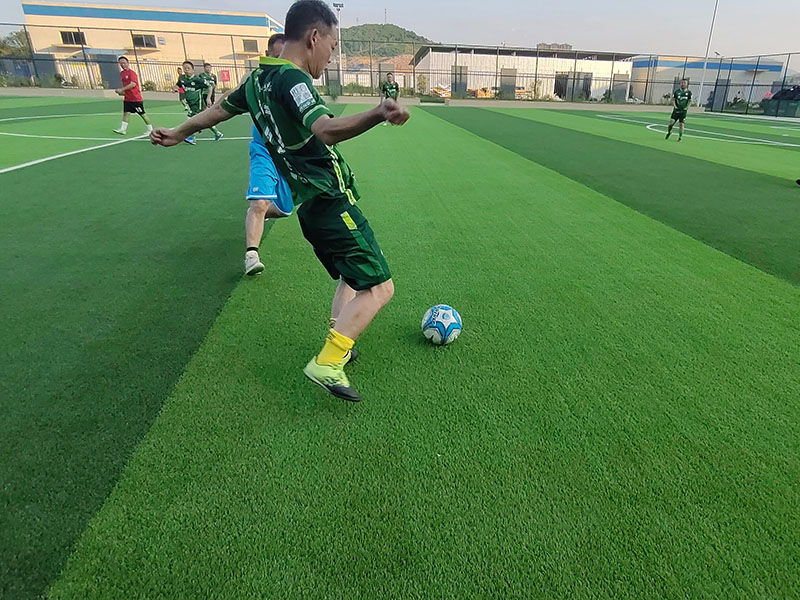 2025年澳门免费原料网