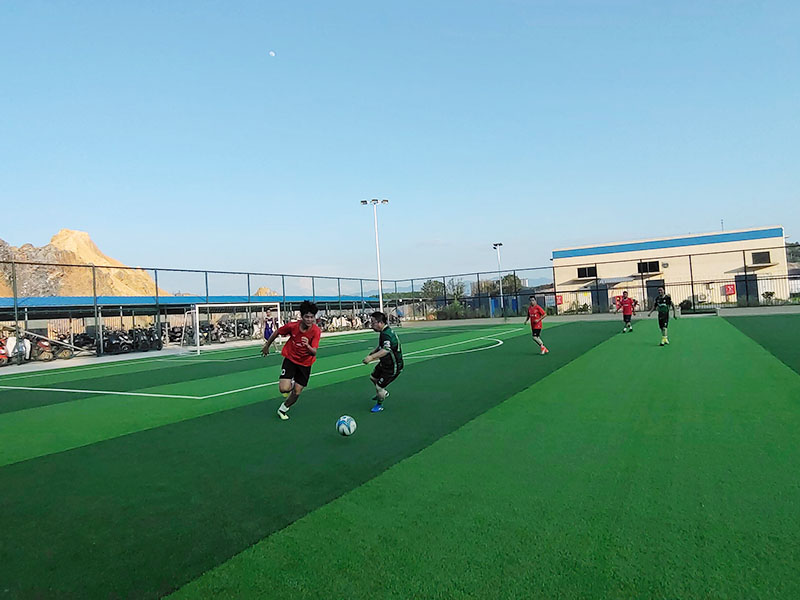 2025年澳门免费原料网