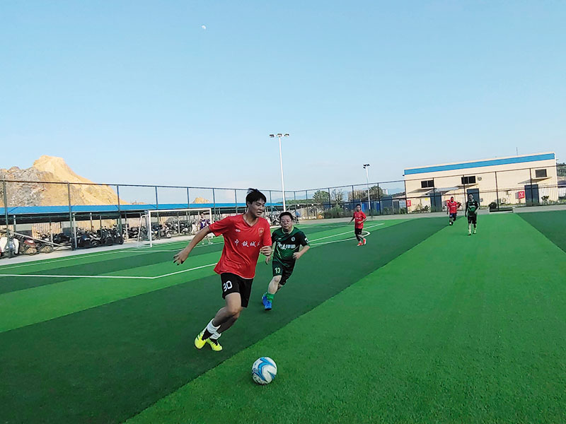 2025年澳门免费原料网