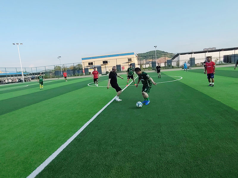 2025年澳门免费原料网