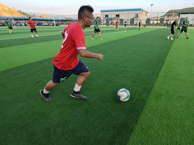 2025年澳门免费原料网