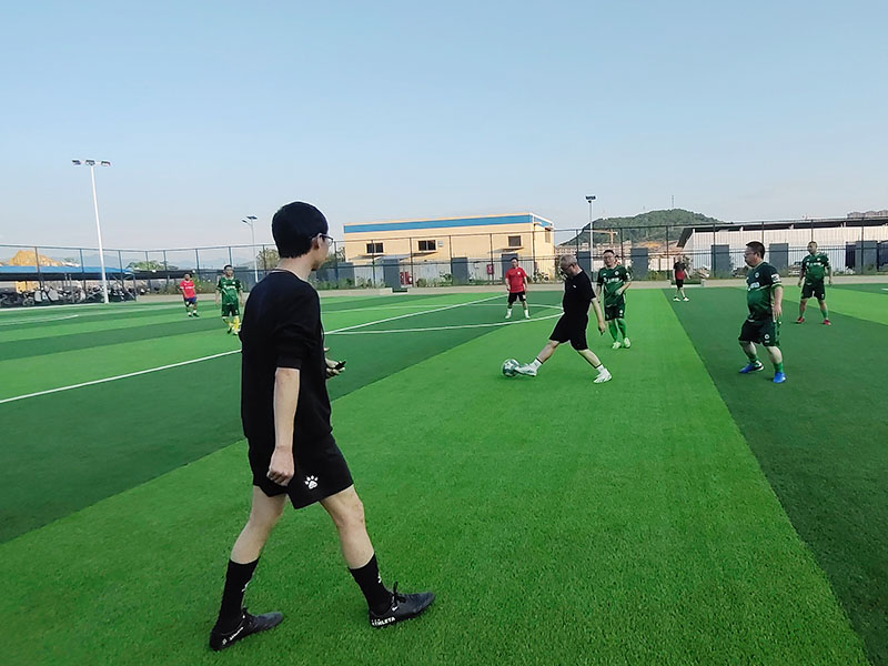 2025年澳门免费原料网