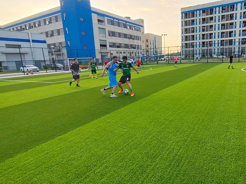 2025年澳门免费原料网