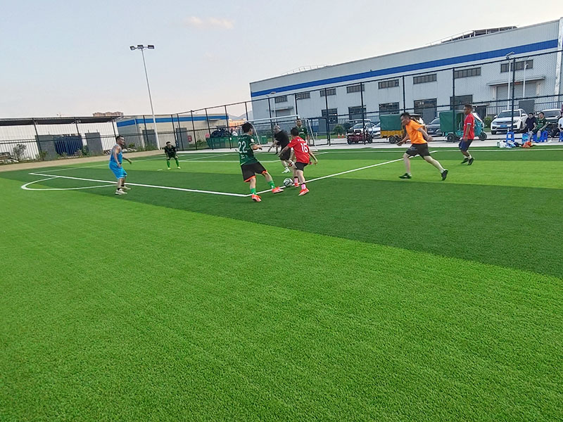 2025年澳门免费原料网