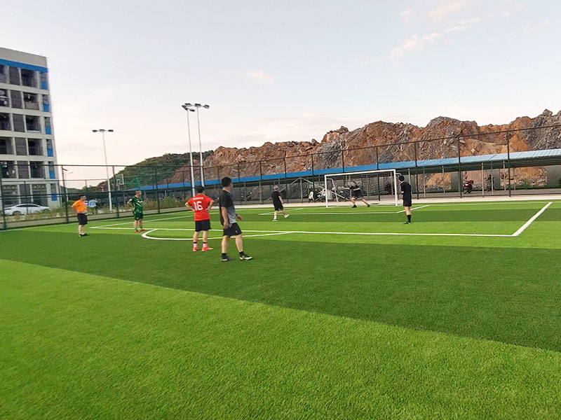 2025年澳门免费原料网