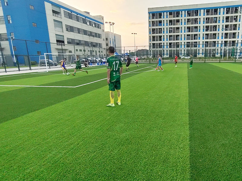 2025年澳门免费原料网