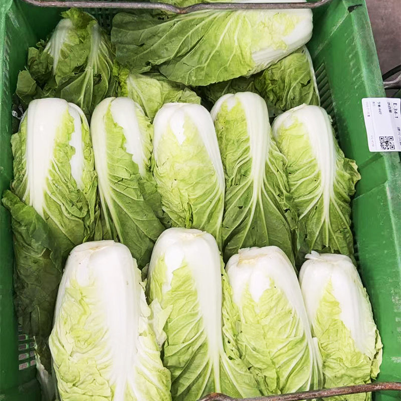 2025奥门原料网站