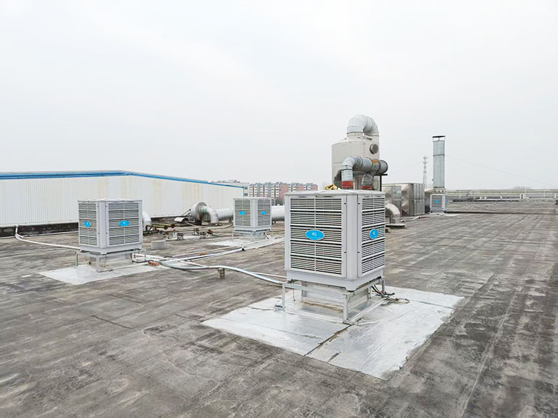 驻马店顶志食品/驻马店顶新食品负压风机案例