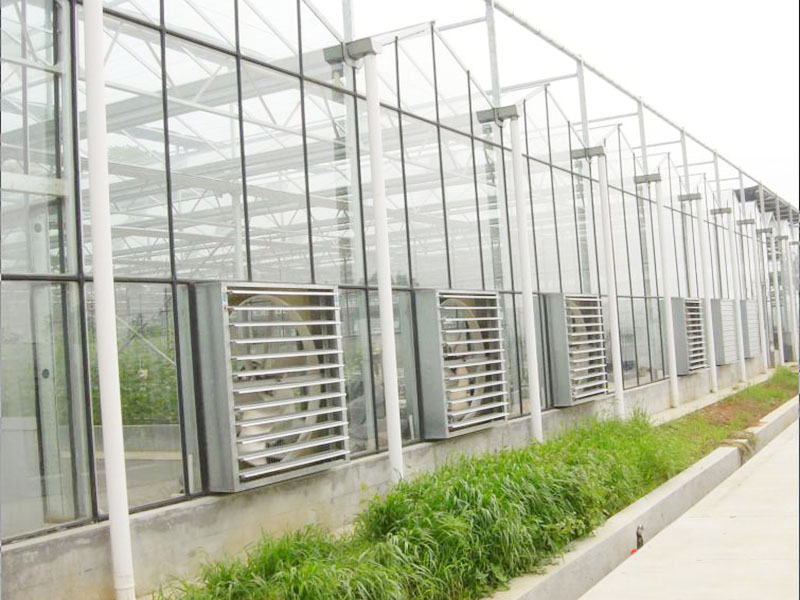 镀锌板风机案例