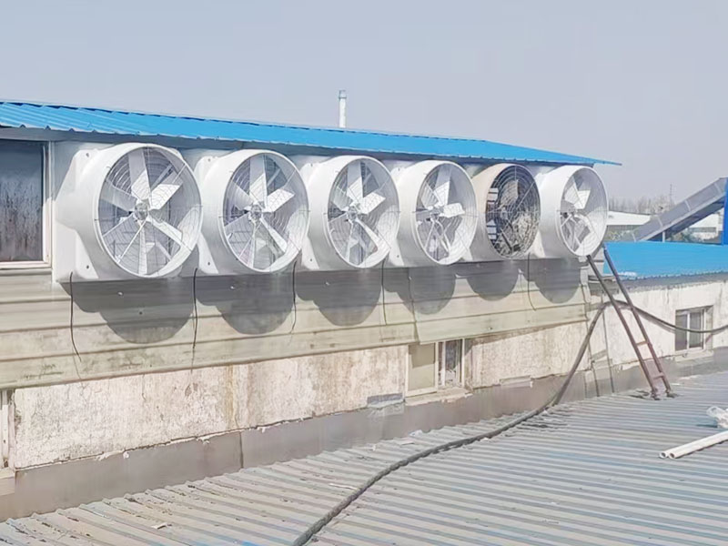 郑州新农源食品负压风机案例