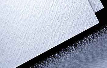 膜纸滤膜检测项目