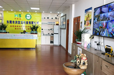 公司实力