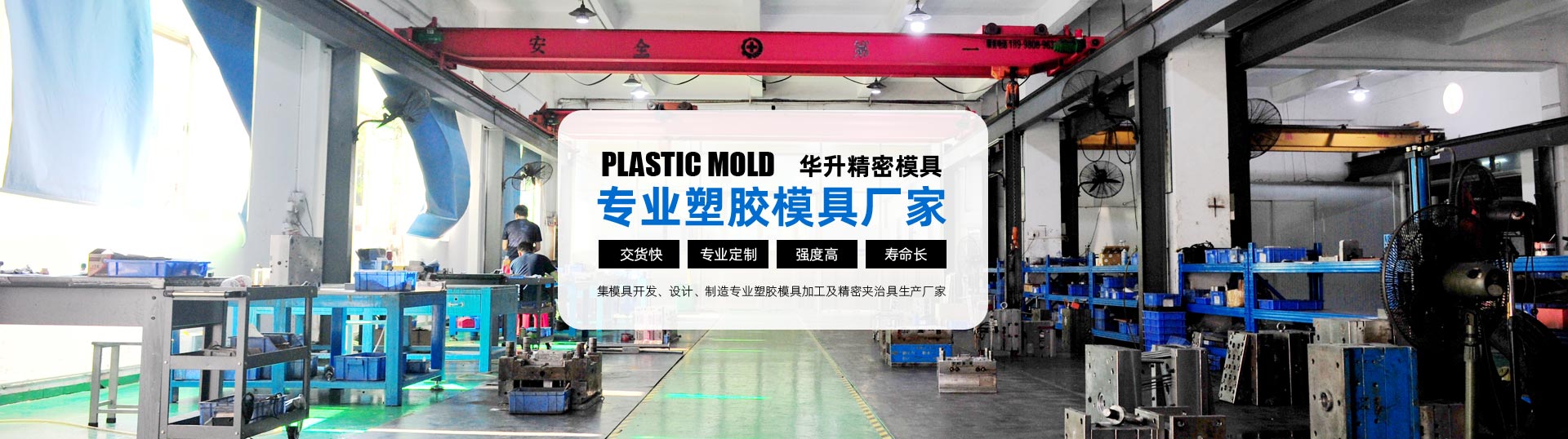 专业塑胶模具厂家