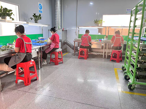 厂房车间